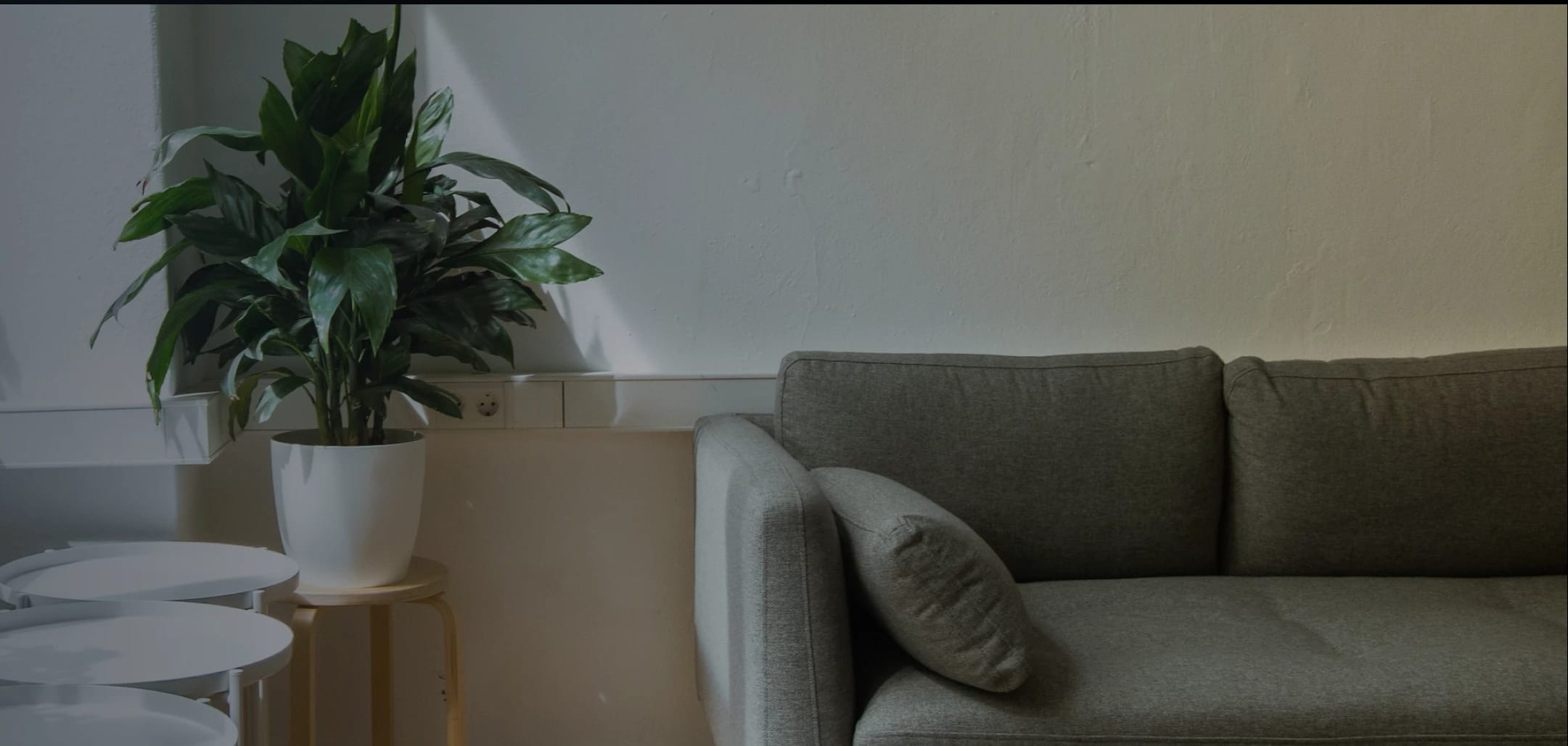 Salón con planta