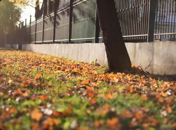 ¿Qué hacer si un inquilino fallece con un contrato en vigor?