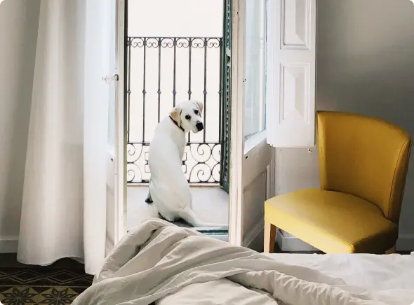 ¿Es posible vender un piso alquilado?